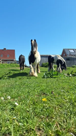 Bild 1: Klein aber Fein