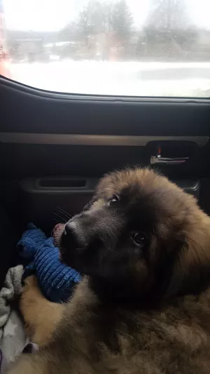 Bild 15: Klein aber Fein