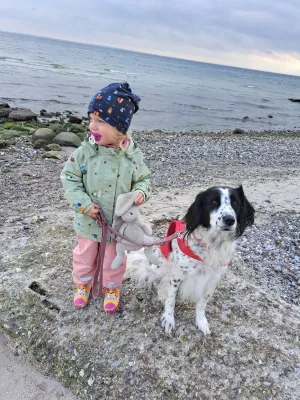 Bild 16: Klein aber Fein