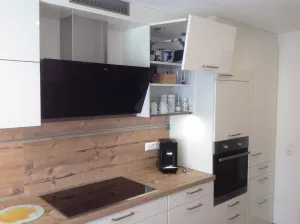 Induktionsherd und Spülmaschine