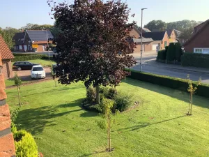 Ausblick vom Schlafzimmer II