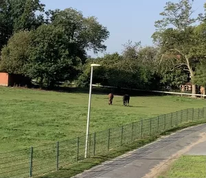 Ausblick vom Schlafzimmer I