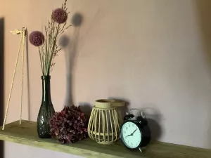 Bild 11: Fewo in Börger für 5 Personen - Direkt im Herzen vom Naturpark Hümmling!