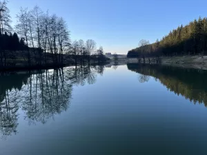 Bild 24: Ferienhaus Schwarzwald – Hund & 1,50 m Zaun + Gratis DreiWeltenCard
