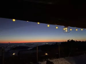 Bild 11: Ferienhaus Schwarzwald – Hund & 1,50 m Zaun + Gratis DreiWeltenCard