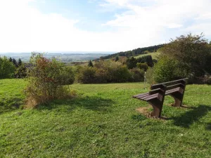 Bild 26: Ferienhaus Schwarzwald – Hund & 1,50 m Zaun + Gratis DreiWeltenCard
