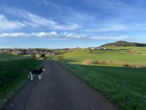 Bild 5: Hundeurlaub Schwarzwald – 1,50 m Zaun & Panoramablick