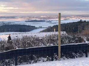 Winterstimmung Winterstimmung