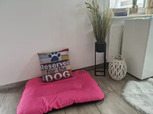 Bild 4: Ferienhaus "Leah´s Muschelsand" Nähe Nordseeheilbad Friedrichskoog