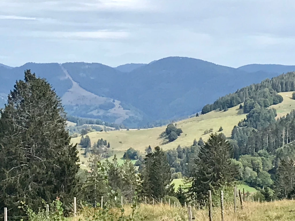 Einfach schön wohnen im kleinen Wiesental (Schwarzwald)