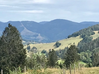 Ferienwohnung in Hausen im Wiesental: Einfach schön wohnen im kleinen Wiesental (Schwarzwald)