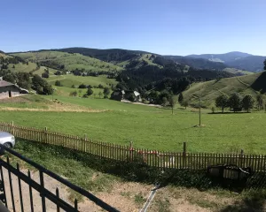 Bild 21: Ferienhaus Sonnenschein im "Kleinen Wiesental".