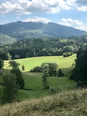 Bild 16: Ferienhaus Sonnenschein im "Kleinen Wiesental".