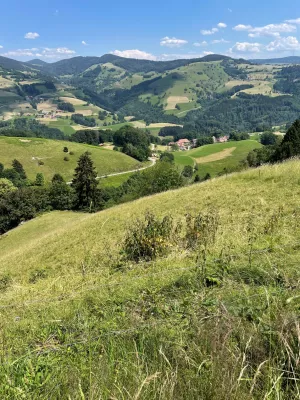 Bild 23: Ferienhaus Sonnenschein im "Kleinen Wiesental".