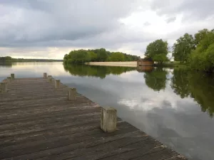 Bild 3: Ferienhaus Löwenzahn