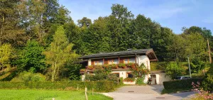 sonnige Wohnung mit Waldblick aus dem Schlafzimmer