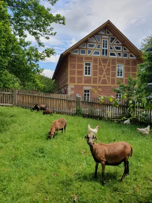 Bild 9: Ferien auf einem historischen Mühlhof
