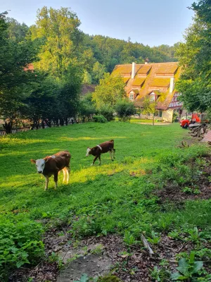 Bild 2: Ferien auf einem historischen Mühlhof