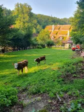 Ferien auf dem Bauernhof Ferien auf dem Bauernhof