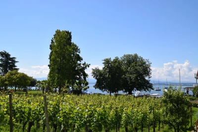 Pension in Hagnau am Bodensee: Ferienhof Mecking Bodensee Pension