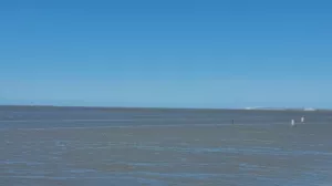 Bild 29: Ferienwohnung in Norddeich mit Blick auf die Nordsee und die Insel Juist