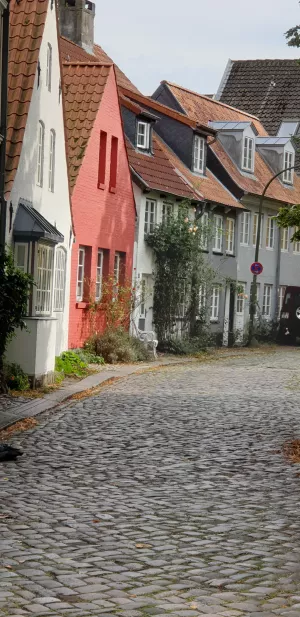 an der Johanniskirche Bild 11: FeWo Lütt Matten im Herzen Flensburgs und dennoch idyllisch und ruhig