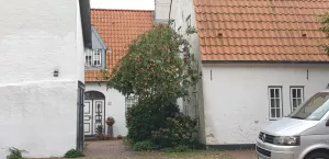 ein kleiner Rundweg Bild 9: FeWo Lütt Matten im Herzen Flensburgs und dennoch idyllisch und ruhig