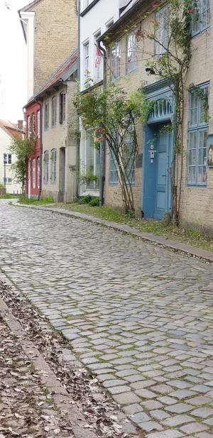 im Johannisviertel Bild 10: FeWo Lütt Matten im Herzen Flensburgs und dennoch idyllisch und ruhig