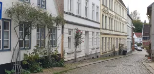 in der Straße Bild 8: FeWo Lütt Matten im Herzen Flensburgs und dennoch idyllisch und ruhig
