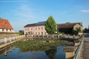 Bild 13: Urlaub mit Hund in der Sächsischen Schweiz - Ferienhof Höhensonne