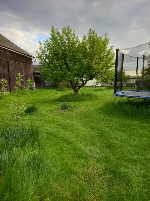 Bild 14: Urlaub mit Hund in der Sächsischen Schweiz - Ferienhof Höhensonne