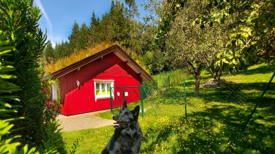 Ferienhaus in Jünkerath: Das Ferien-Zuhause für Sie und Ihren Hund