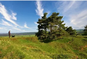 Bild 22: Hundebadezimmer, eingezäunter Garten, Veranda, Balkon: Brangs Eulenbüsch: