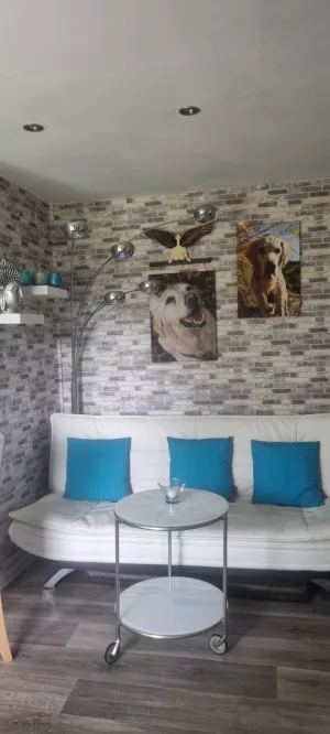 Bild 3: Waldhaus Emmi am Wald/See Nähe Spreewald