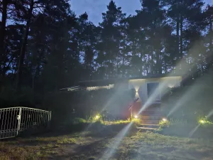 Bild 9: Waldhaus Emmi am Wald/See Nähe Spreewald