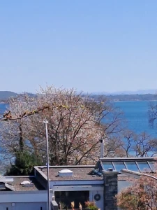 Ferienwohnung in Konstanz: Ferienwohnung "Seeblick-Konstanz" nur 300 Meter zum Bodenseestrand