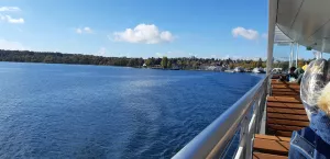von der Bodensee Fähre aus sehen Sie links das nahe der Ferienwohnung gelegene naturnahe Bodenseeufer. Dort gibt es sehr weitläufige Liege- & Badewiesen mit viel Platz zum Sonnen, Baden & Spielen, sowie einen schönen Uferweg zum Spazierengehen Richtung Fähre oder Richtung Freibad Horn.