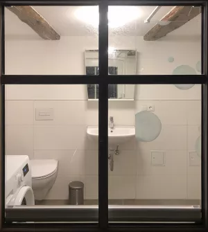 Waschbecken, WC, Waschmaschine