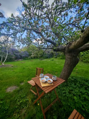 Picknick unterm Apfelbaum