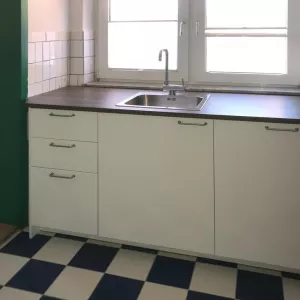 Spüle und Geschirrspüler