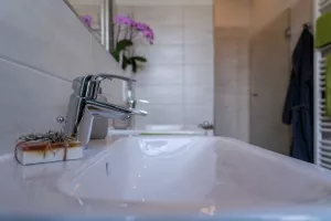 Bild 12: König Albert Residenz