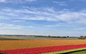 Bild 19: Ferienhaus 5a, Bungalowpark Puik en Duin Noordwijk am Meer