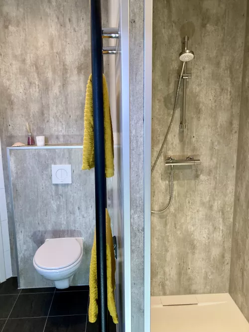 Begehbare Dusche, Toilette