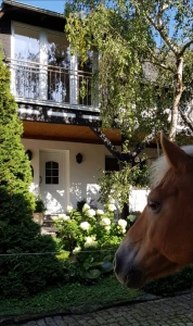 Ferienwohnung in Remptendorf: Ferienwohnung auf dem Bauernhof am Thüringer Meer