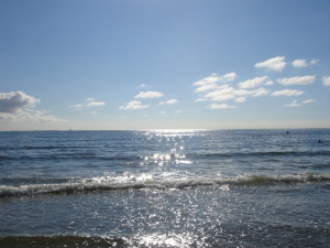 Bild 16: Haus Walfänger - 4-Sterne Ferienwohnung