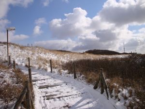 Bild 29: Haus Walfänger - 4-Sterne Ferienwohnung