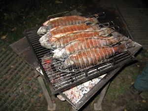 Bild 40: Willkommen zum Wohlfühlen in der Sächsischen Schweiz