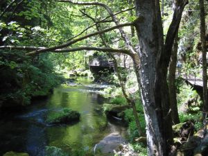 Bild 34: Willkommen zum Wohlfühlen in der Sächsischen Schweiz