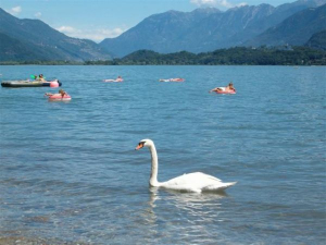 Domaso Strand nur 200mt. Weit