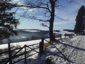 Winterliches Diemeltal in Richtung Usseln aufgenommen.